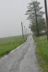 Prohlédnout dest_2010_030_t1.jpg