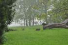 Prohlédnout dest_2010_038_t1.jpg