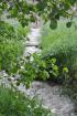 Prohlédnout dest_2010_071_t1.jpg