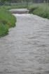 Prohlédnout dest_2010_110_t1.jpg