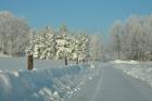 udr_zima_2010_31_t1.jpg