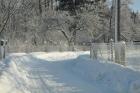 udr_zima_2010_47_t1.jpg