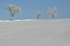 udr_zima_2010_60_t1.jpg