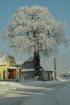 udr_zima_2010_82_t1.jpg