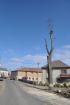 Prohlédnout lipa_2011_01_31_t1.jpg