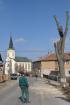 Prohlédnout lipa_2011_01_38_t1.jpg