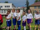 Prohlédnout pripravka_1_2011_57_t1.jpg