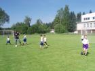 Prohlédnout pripravka_1_2011_62_t1.jpg