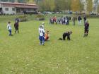 Prohlédnout fotbal_mlz_2011_10_19_t1.jpg