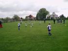 Prohlédnout prosec_20120510_09_t1.jpg