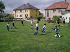Prohlédnout prosec_20120510_25_t1.jpg