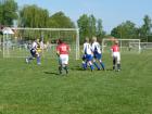 Prohlédnout ht_20120519_02_t1.jpg