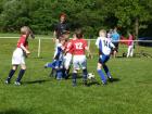Prohlédnout ht_20120519_03_t1.jpg