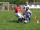 Prohlédnout ht_20120519_05_t1.jpg