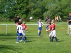 Prohlédnout ht_20120519_08_t1.jpg