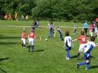 Prohlédnout ht_20120519_09_t1.jpg