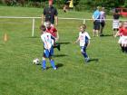 Prohlédnout ht_20120519_12_t1.jpg