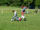 Prohlédnout ht_20120519_15_t1.jpg