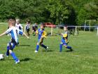 Prohlédnout ht_20120519_29_t1.jpg
