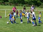 Prohlédnout ht_20120519_34_t1.jpg
