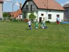 Prohlédnout prosec_20120527_22_t1.jpg
