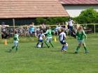 Prohlédnout prosec_20120527_27_t1.jpg