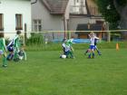 Prohlédnout ch20120617_12_t1.jpg