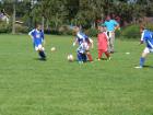 fotbal_mlz_2012_03_35_t1.jpg