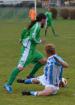 Prohlédnout fotbal_a_2012_13_18_t1.jpg