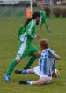 fotbal_a_2012_13_18_t1.jpg