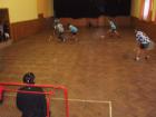Prohlédnout sokolcup_2012_13_t1.jpg