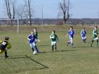 Prohlédnout mlz_20130414_10_t1.jpg