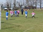 Prohlédnout mlz_20130414_13_t1.jpg