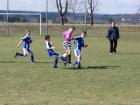 Prohlédnout mlz_20130414_16_t1.jpg