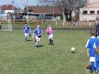 Prohlédnout mlz_20130414_17_t1.jpg