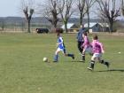 Prohlédnout mlz_20130414_18_t1.jpg