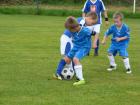 Prohlédnout mlz_20130622_35_t1.jpg