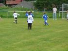 mlz_20130622_48_t1.jpg