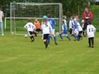 Prohlédnout mlz_20130622_49_t1.jpg