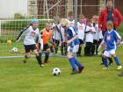 Prohlédnout mlz_20130622_55_t1.jpg