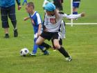 Prohlédnout mlz_20130622_65_t1.jpg