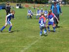 Prohlédnout mlz_20130622_78_t1.jpg