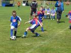 Prohlédnout mlz_20130622_79_t1.jpg