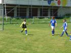 Prohlédnout mlz_20130622_80_t1.jpg