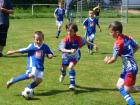 Prohlédnout mlz_20130622_84_t1.jpg