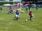 Prohlédnout mlz_20130622_86_t1.jpg