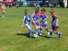 Prohlédnout mlz_20130622_88_t1.jpg