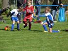 6mp2013_06_t1.jpg