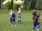 Prohlédnout 7mp2013_14_t1.jpg