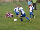 Prohlédnout 7mp2013_20_t1.jpg